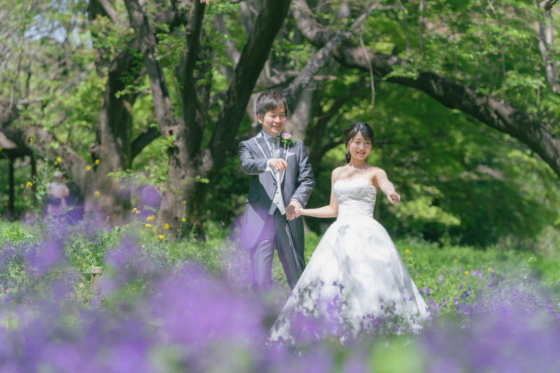 ムラサキハナナ