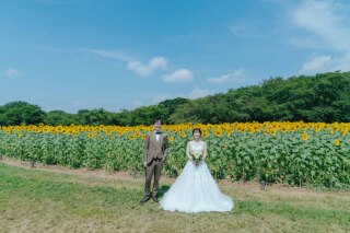 満開のひまわりとともに