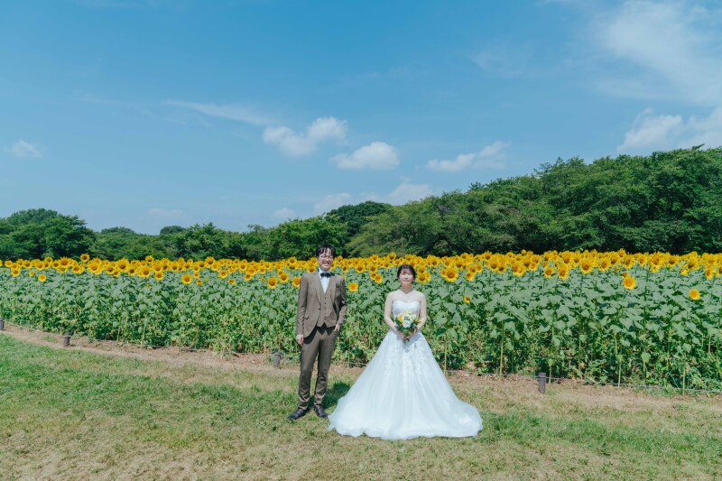 満開のひまわりとともに