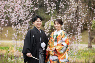 昭和記念公園　桜ロケーション