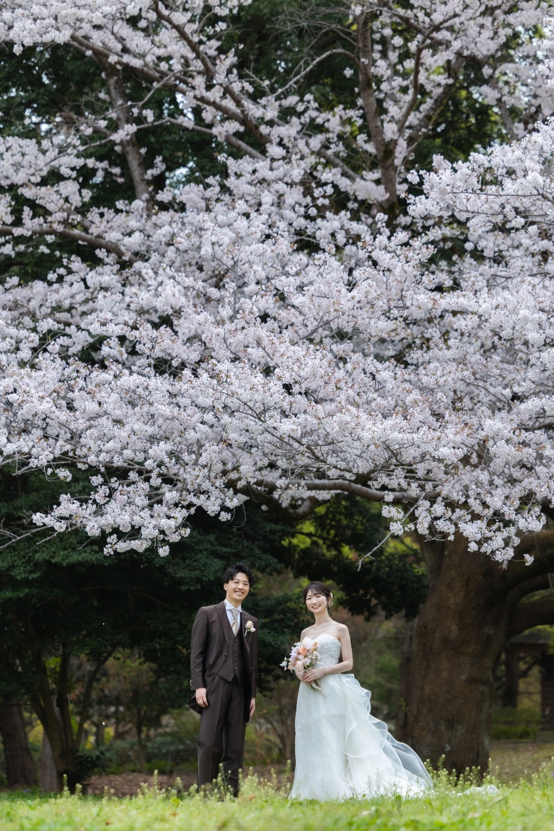 満開の桜の下で
