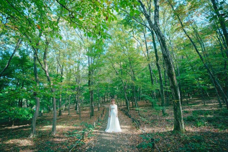 木って改めて見ると良いよね