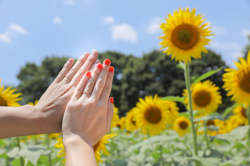 ひまわりと指輪。