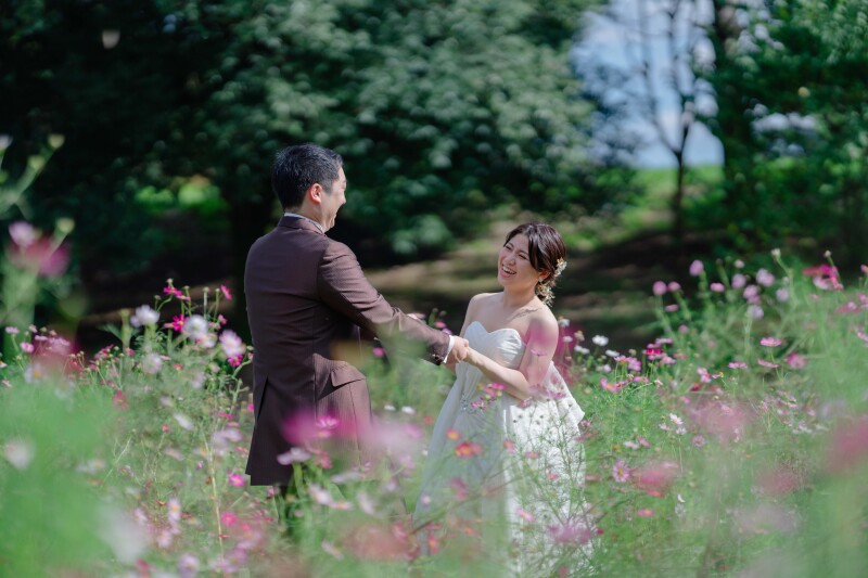 ピンクのコスモスに囲まれて