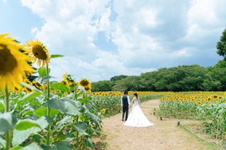 真夏のロケーション撮影