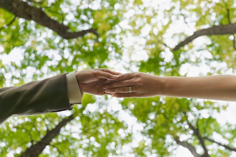 イメージショット