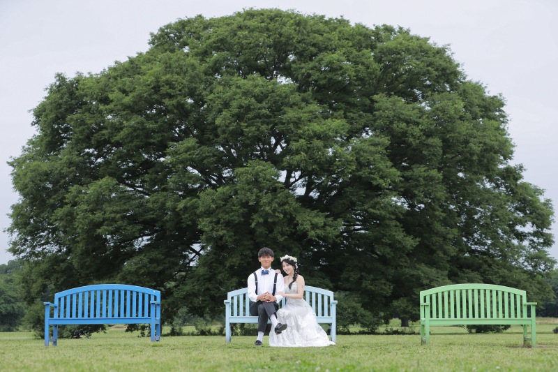 レインボーのベンチで