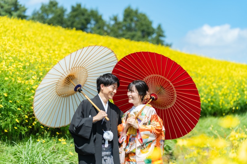 今が旬！黄色のコスモス（黄花）