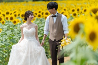 サルスベリ、イチョウ並木道、ひまわりetc