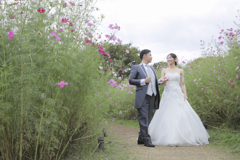 お散歩ショット。