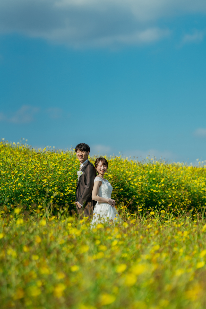 天空のコスモス