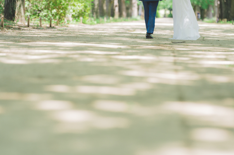 新緑の昭和記念公園8