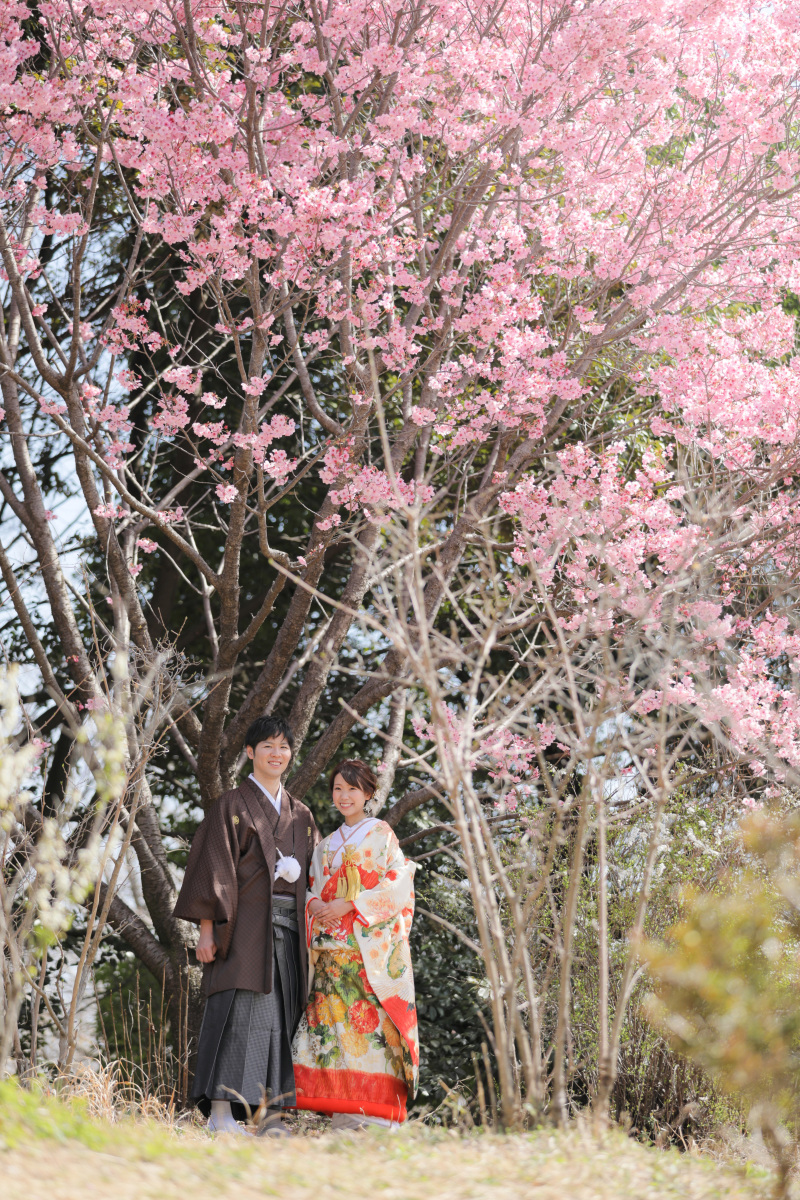 桜のドームの中で