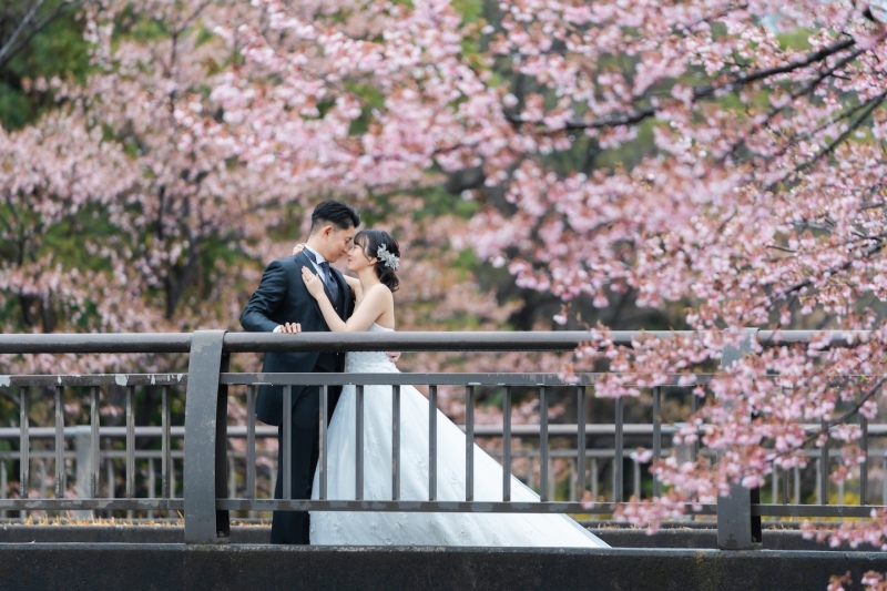 昭和記念公園で桜ロケーション! 2