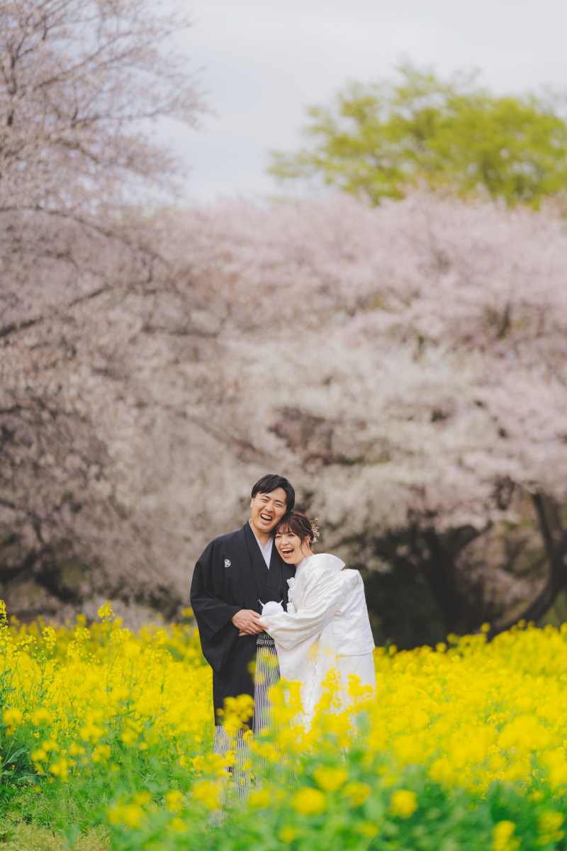 昭和記念公園桜7