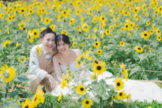 昭和記念公園のひまわり