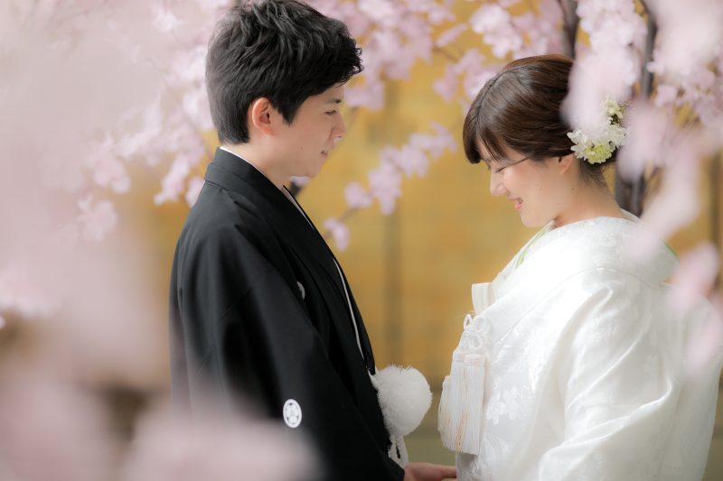 桜入荷しました!!