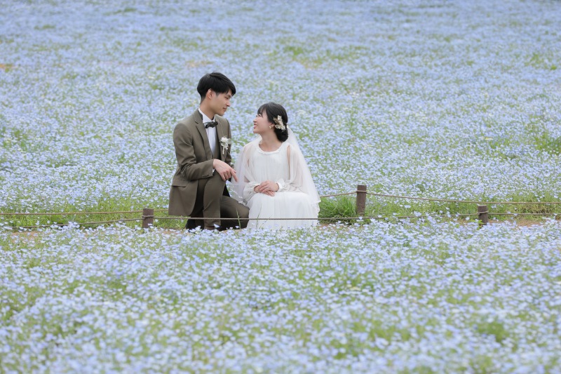 ネモフィラの中で