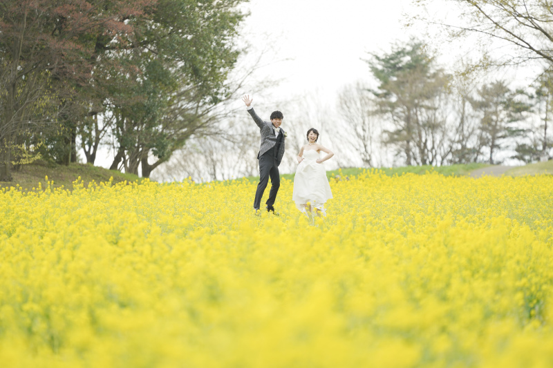 菜の花畑でダイナミックに