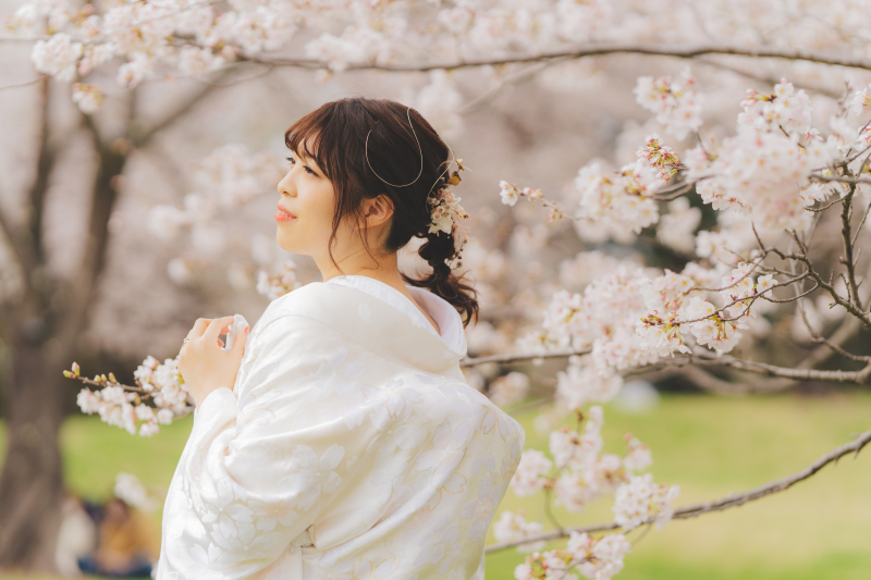 昭和記念公園桜8