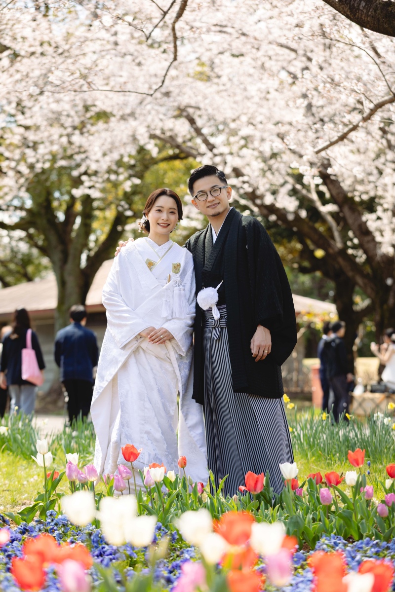 チューリップ×桜