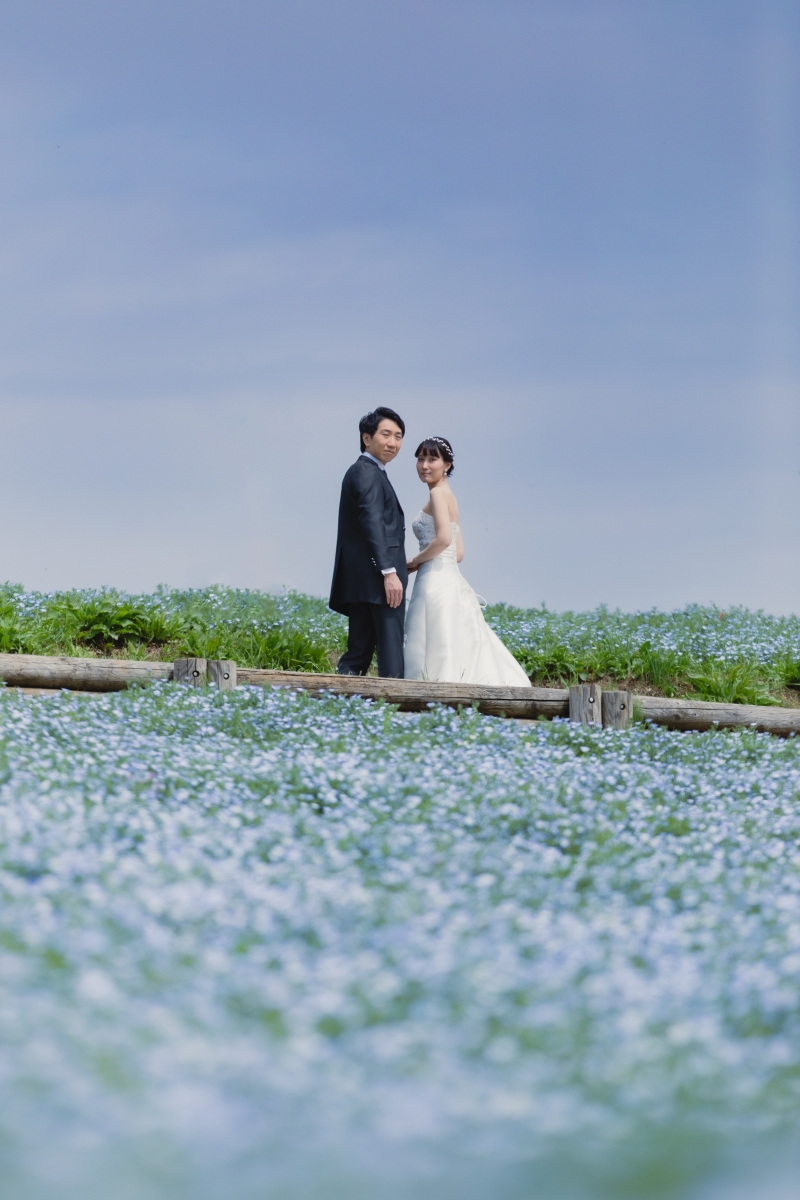 青空×ネモフィラ