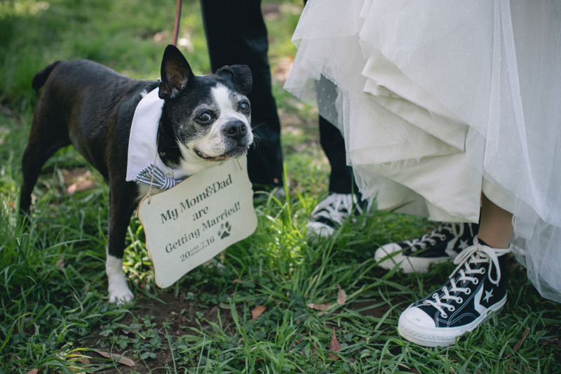 お利口さんなワンちゃんとオシャレな足元