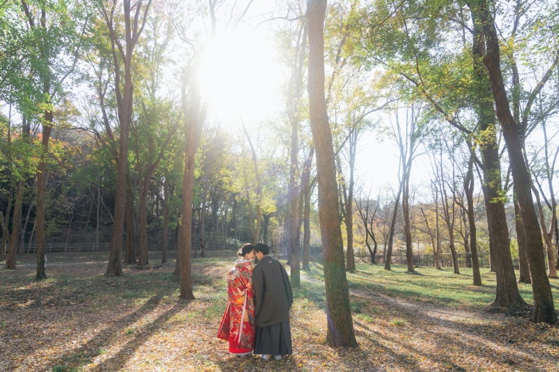 大自然ショット