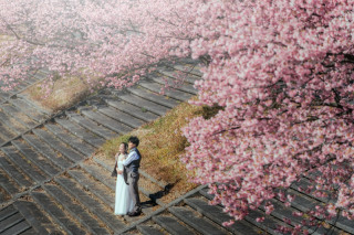 今年も始まります！