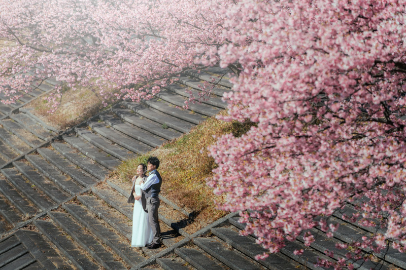 今年も始まります!