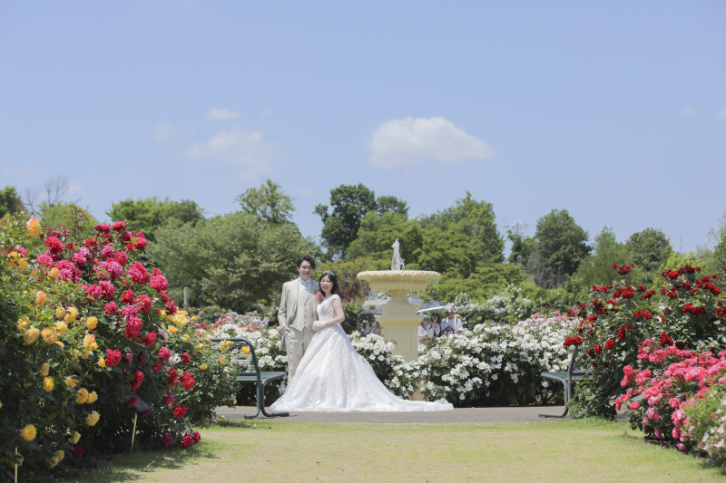 メインスポット。