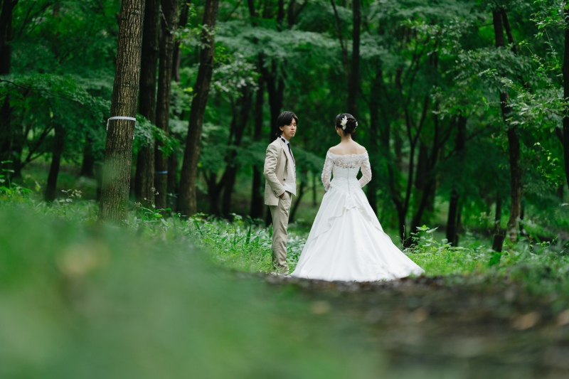 おとぎ話のような