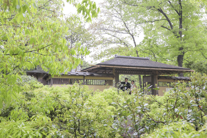 昭和記念公園内の庭園。