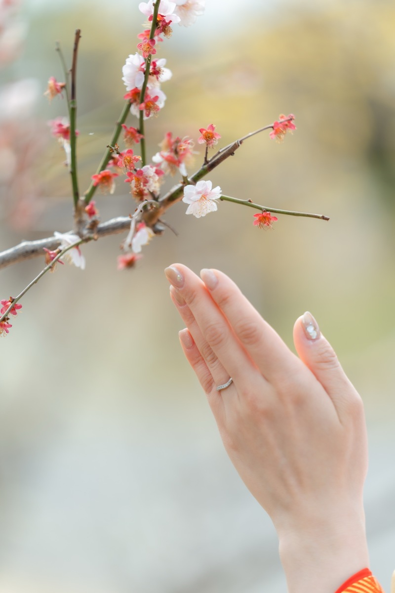 昭和記念公園『梅』