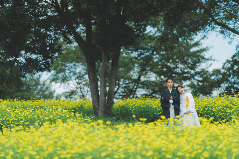 日本庭園とコスモス8