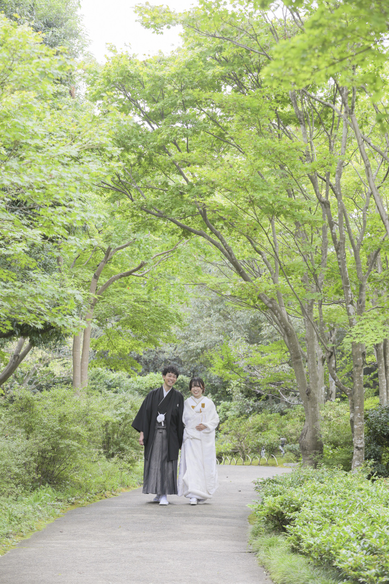 お散歩ショット。