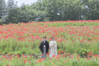 和装で昭和記念公園をお散歩！