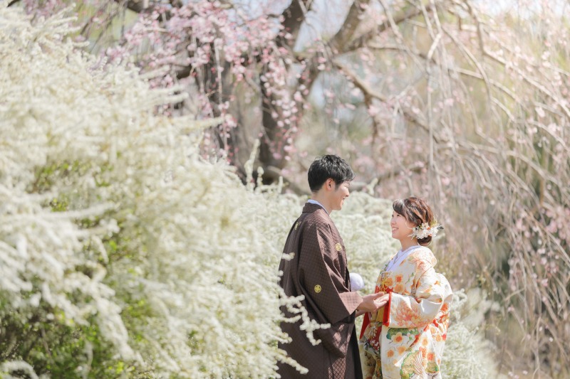 しだれ桜×ユキヤナギ