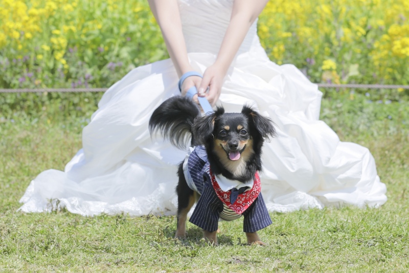 ソロショット入りま〜す