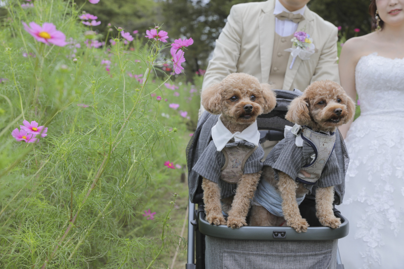 おめかしばっちり!