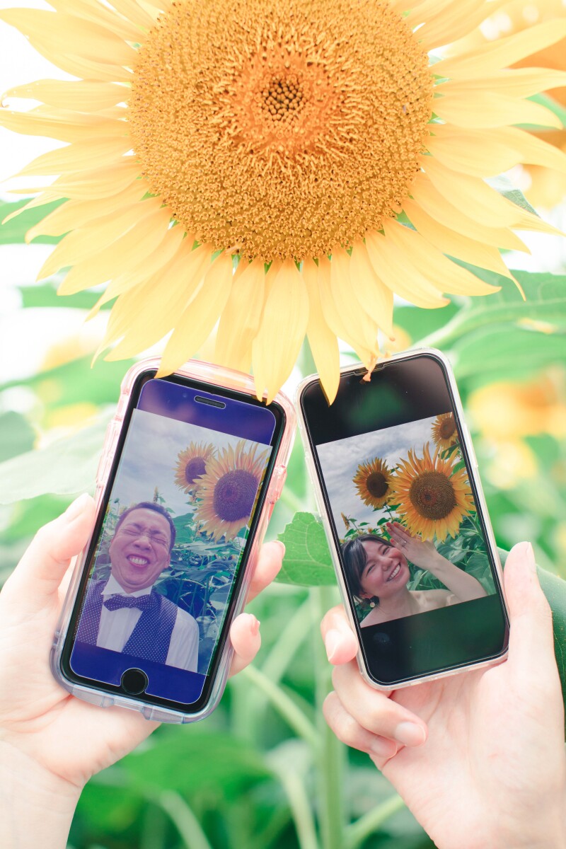 お二人とひまわり