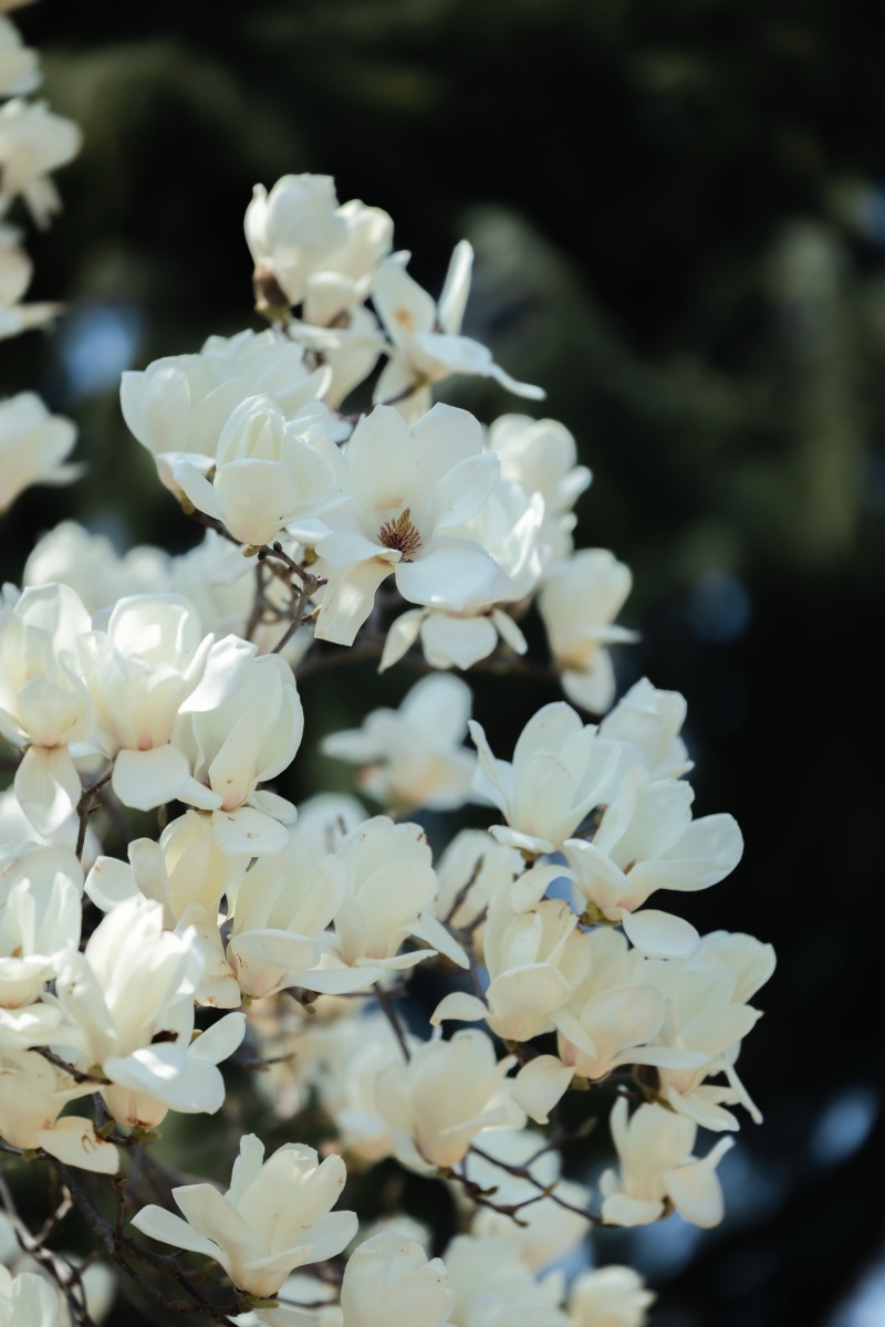 彩り豊かなロケーションフォト