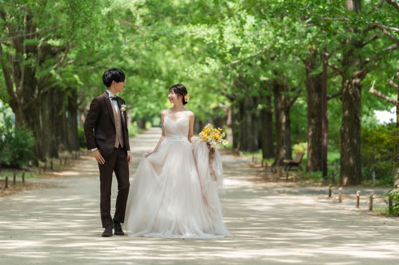 イチョウ並木道