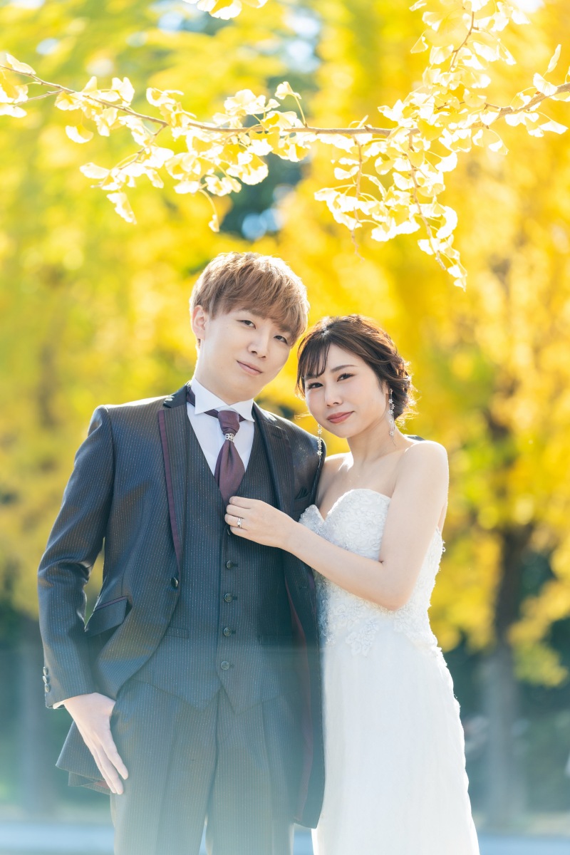 イチョウが満開です。