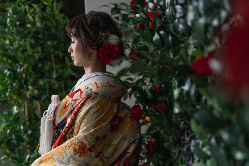 美しく撮影します。