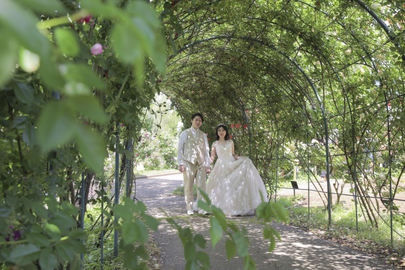 メインスポット。パート4