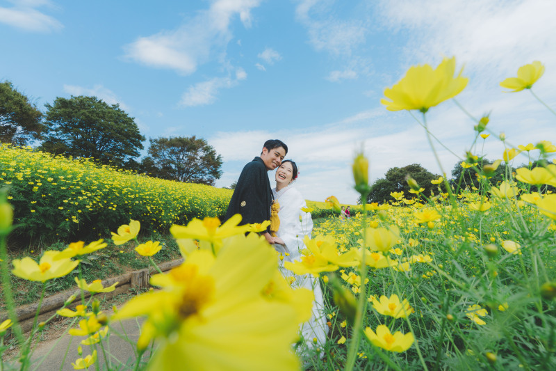 日本庭園とコスモス9