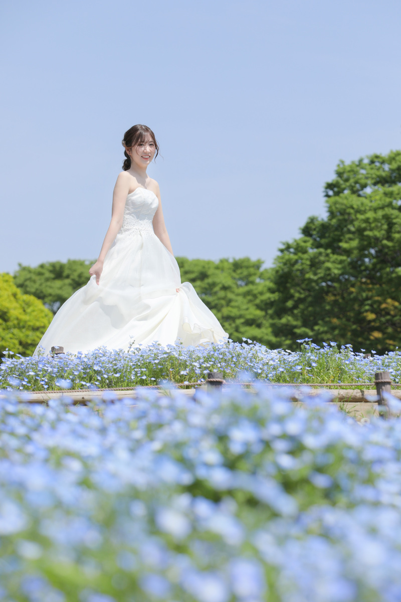 ドレスフリフリ!