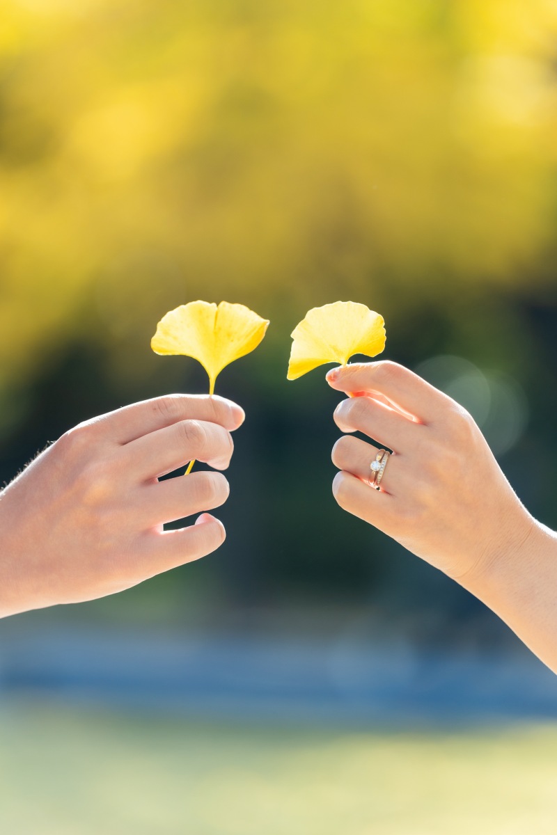 昭和記念公園『イチョウ』和庭園『ディズニー』
