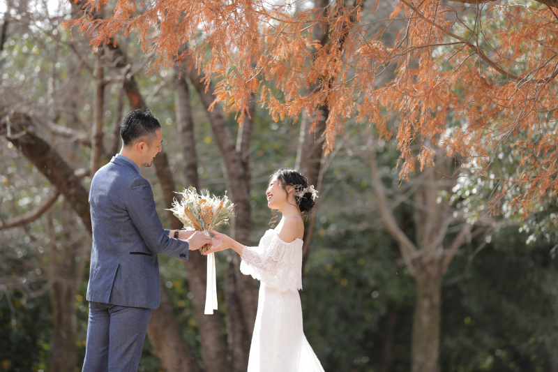 メタセコイヤの下で